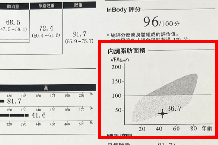 內臟脂肪面積