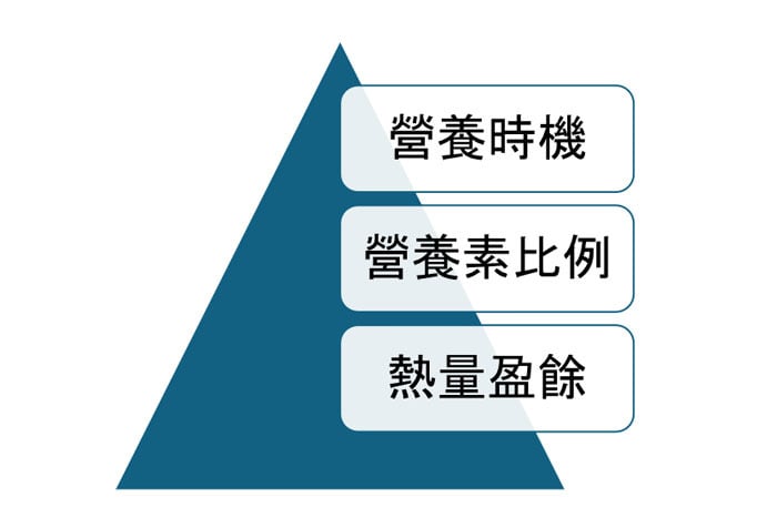 增肌飲食金字塔