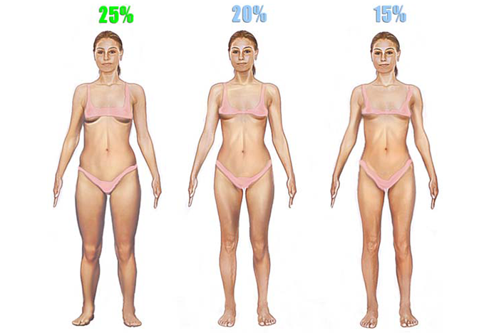 女性體脂肪體態圖