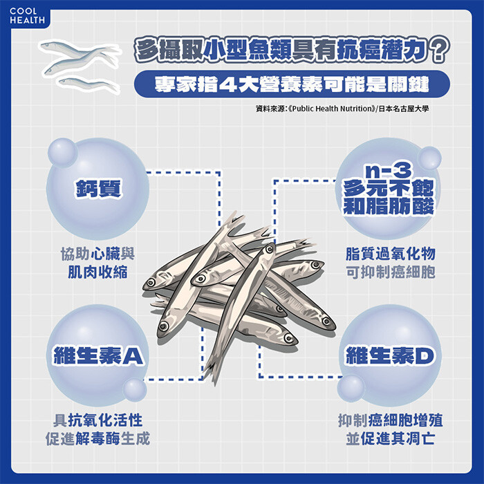 攝取小型魚類的具體好處? 「4大營養成分」或為抗癌關鍵