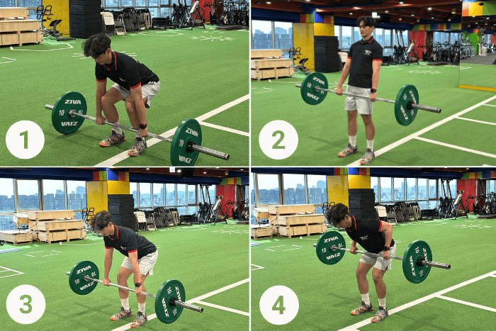 槓鈴划船-分解動作