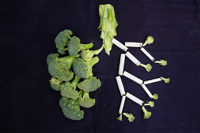 為什麼會得 肺纖維化 不可逆之病該如何預防和照護 為什麼會得 肺纖維化 不可逆之病該如何預防和照護