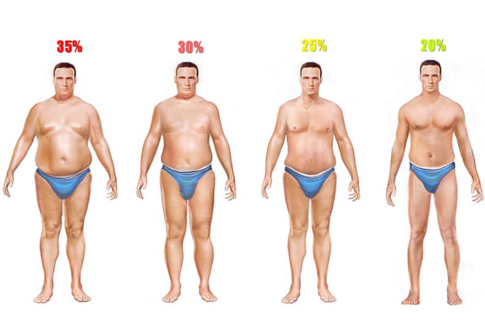 男性體脂肪體態圖