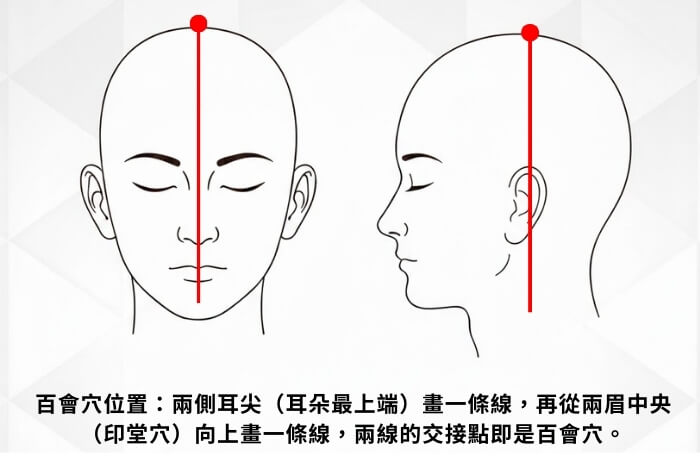 百會穴位置