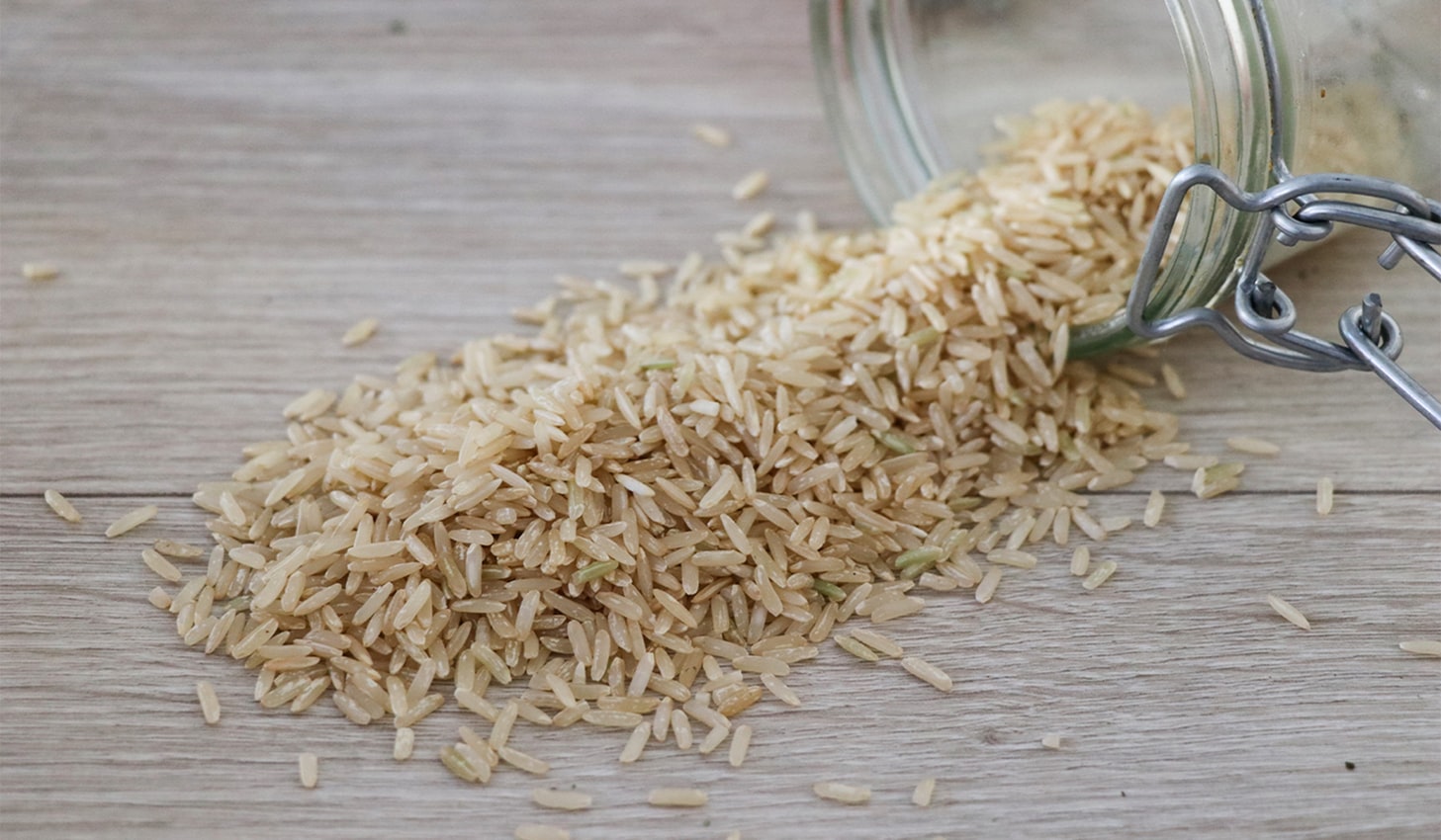 植物性蛋白質食物推薦-糙米