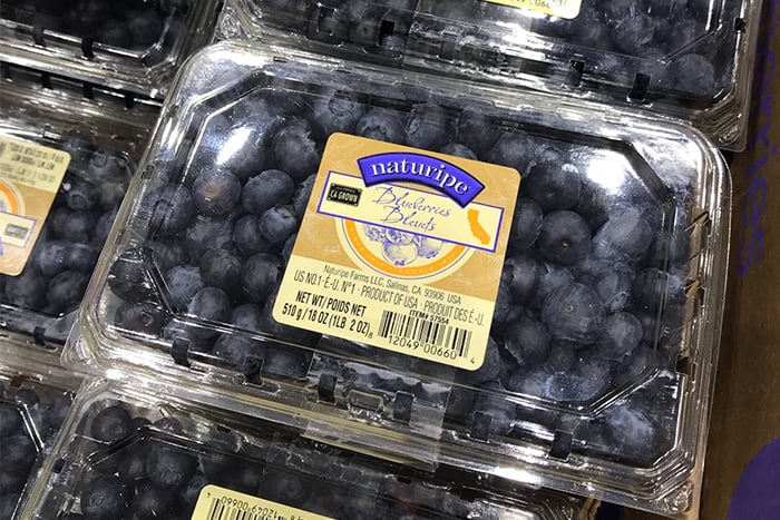 Costco好市多-有機藍莓