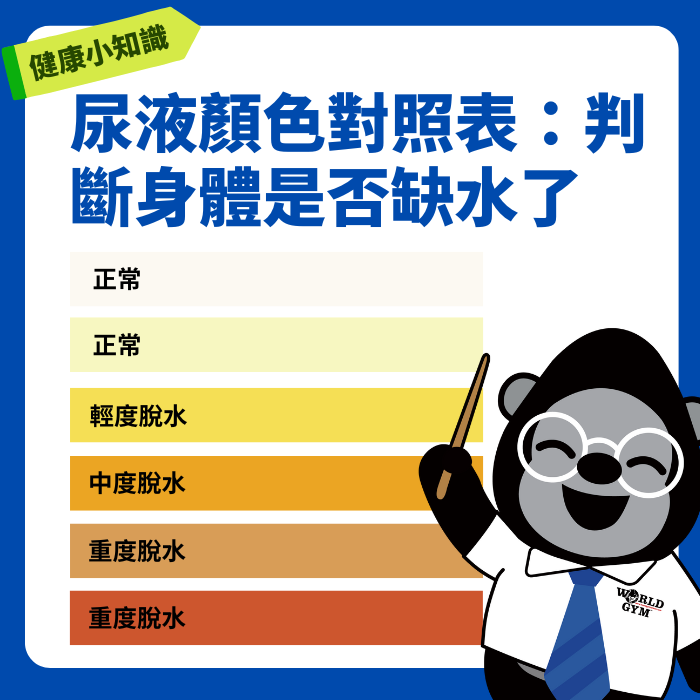 身體的信號 尿液顏色 (3)