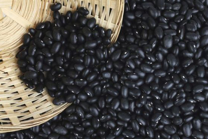 植物性蛋白質食物推薦-黑豆