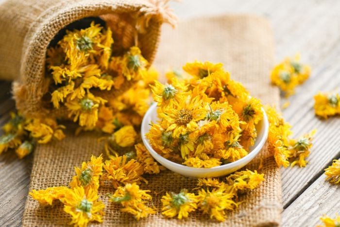 chinese-chrysanthemum-flower-tea