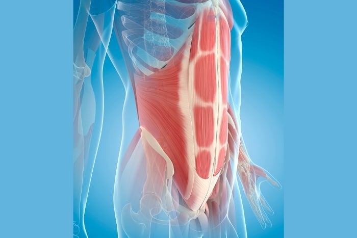 core-muscles