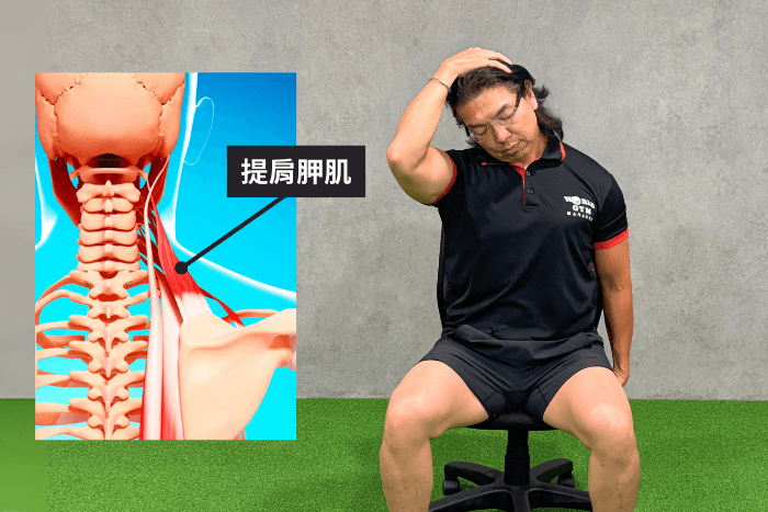 levator-scapula-stretch