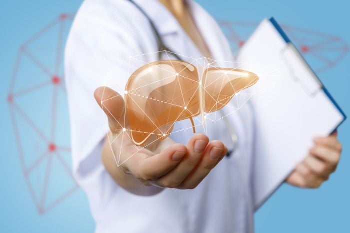 nurse-shows-a-model-of-a-human-liver