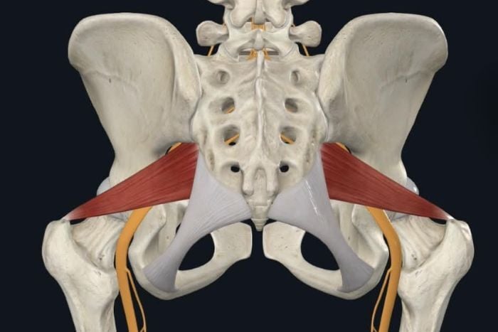 piriformis-syndrome-1