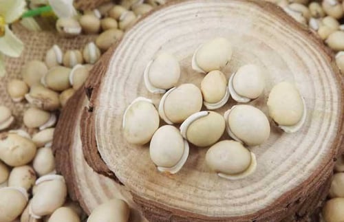 1.白扁豆  中醫裡認為白扁豆有健脾化濕、利尿消腫…等功效，主要可以去濕、改善食慾不振、白帶…等症狀。