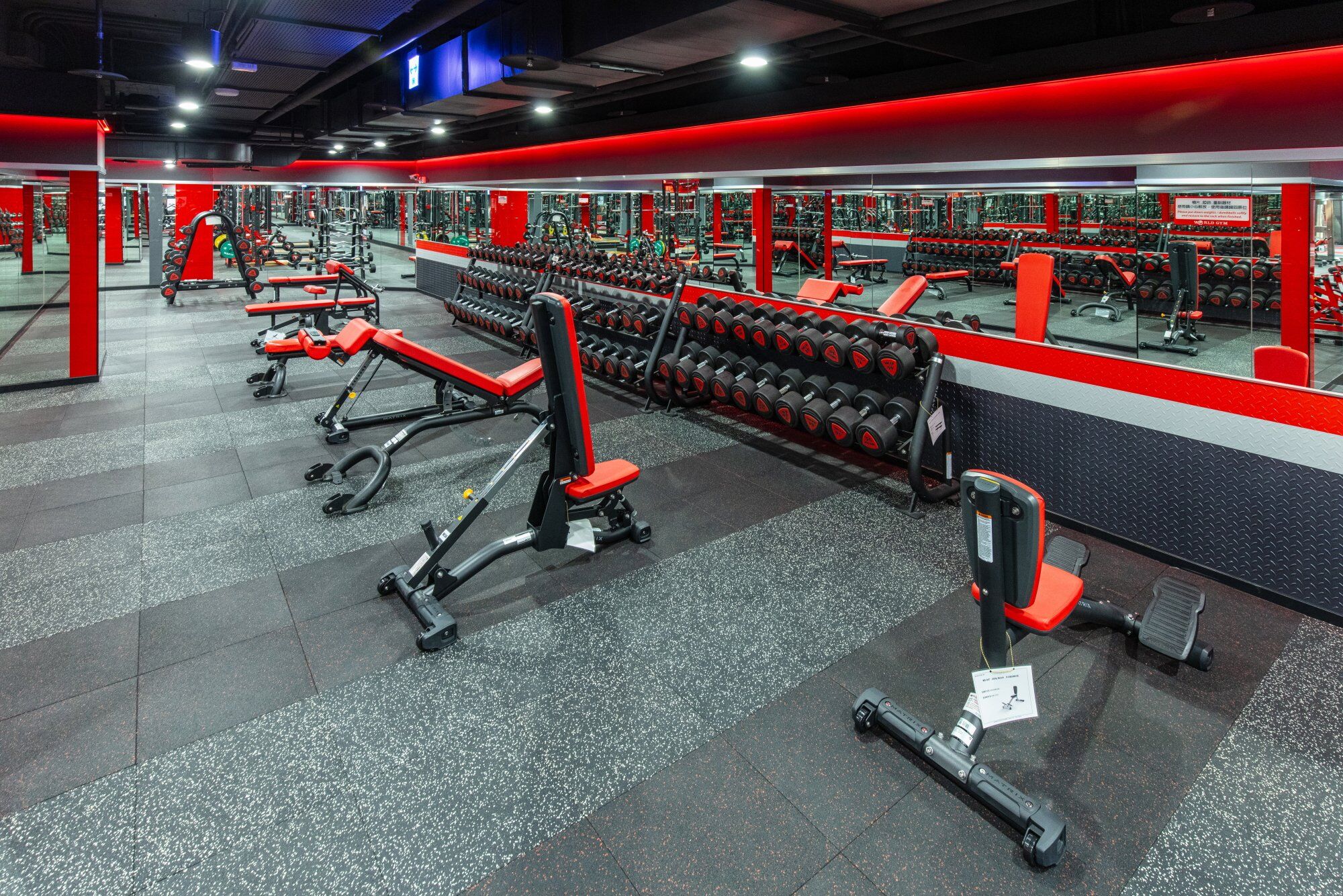 World Gym 台北站前店 自由重量區