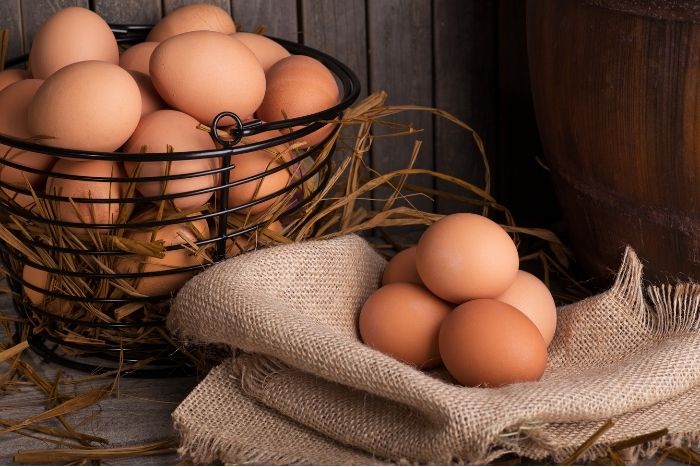 缺蛋導致蛋價屢創新高！食安專家分析4大原因